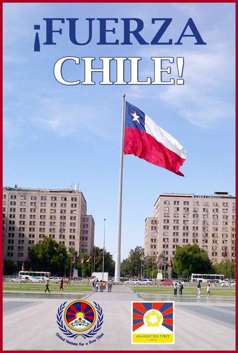 Fuerza_Chile_Terremoto